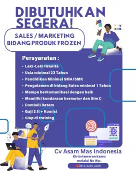 Marketing /sales