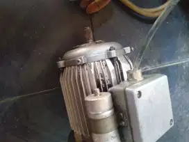 Dinamo masih ok