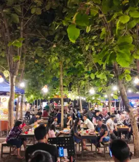 Dibutuhkan tenaga freelance