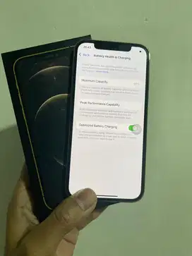 12 pro 128 gb ( gold ) all provider
