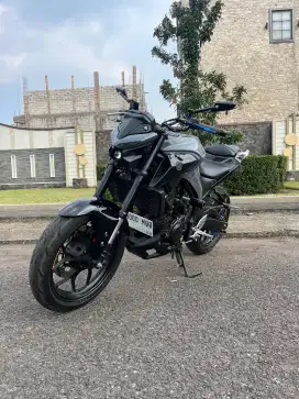 YAMAHA MT25 FACELIFT ALIEN