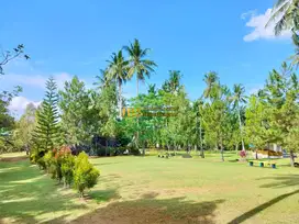Jual Tempat Wisata Masih Beroperasi di Daerah Sibiru-biru-Namo Tualang