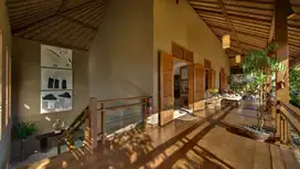 Freehold - Luxurious Balinese Retreat with Spacious Living Lush Garden