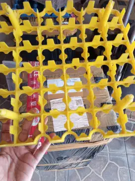 Eggtray untuk tetas telur