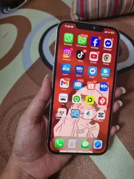 Iphone 12 pro max 128gb ibox