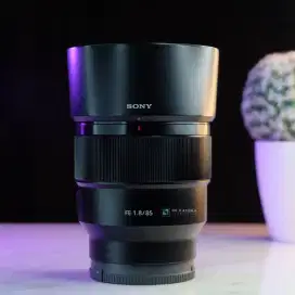Lulus QC | LENSA FULLFRAME SONY FE 85MM F1.8 KIT SONY FE 28-70MM OSS