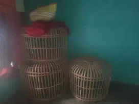 Serkepan ayam masih baguss
