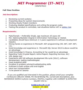 Programmer DOT NET
