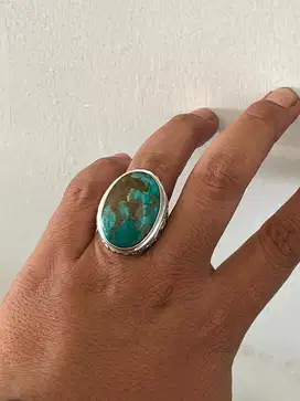 Natural cincin pirus persi hijau gradasi biru