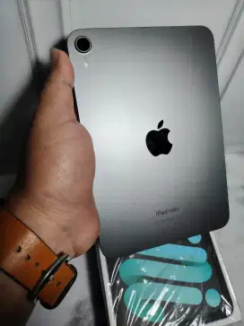 Ipad mini 7 256 GB
