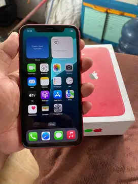 iPhone 11 64GB Garansi Inter All Operator Red Battery Health 86%