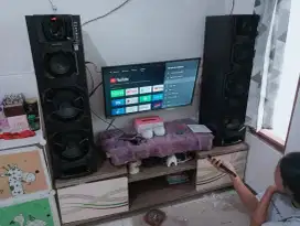 speaker Polytron pas 8E20