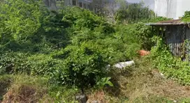 Tanah Rungkut Mejoyo Tenggilis Mejoyo Surabaya Timur