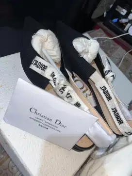 Punya sepatu dior
