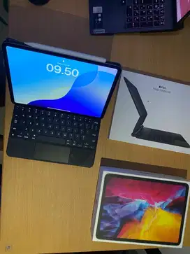 Ipad Pro 11 Inch (2nd Generation) WIfi + Celluler 256GB