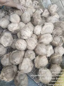 Buruh kelapa pasar