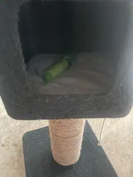 Cat tree and 2 sctratcher pre loved