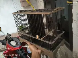 Kandang rakitan buat burcil