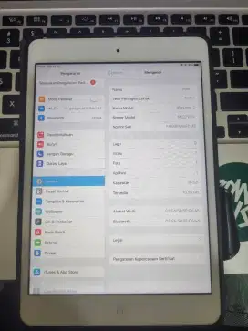 iPad Mini 2 16GB WiFi Only