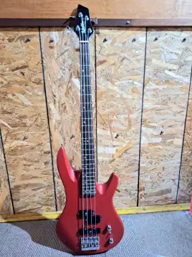 Bass washburn original
