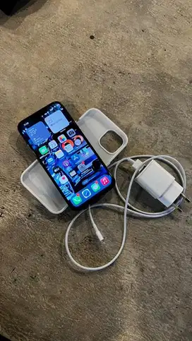 iphone 13 basic 128 ibox