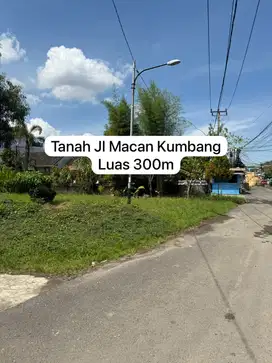 Dijual Tanah JL Macan Kumbang 300m