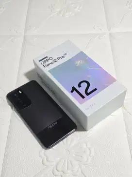 Oppo Reno 12 Pro 5G 12/512 Gb Coklat