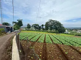 Dijual Tanah di Ngamprah, Strategis Dekat Kantor Pemda KBB Sudah SHM