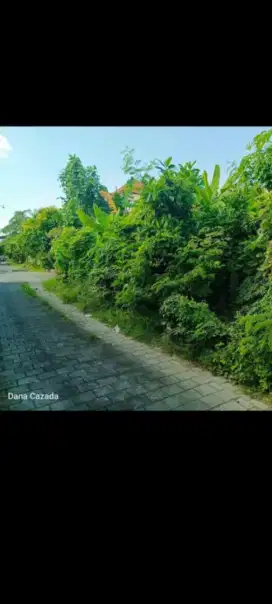 Dijual tanah 5 are di gelogor carik denpasar dekat ke kuta dan bandara