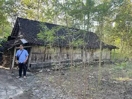 GUNUNG KIDUL, KARANG MOJO, JATIAYU, CANDI 7, TANAH DIJUAL
