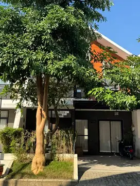 Rumah Sultan di Madiun