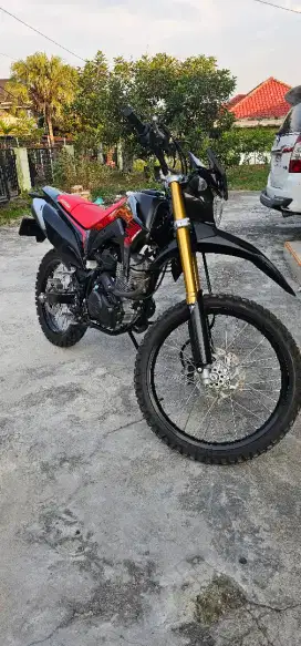 Honda Crf 150 2024