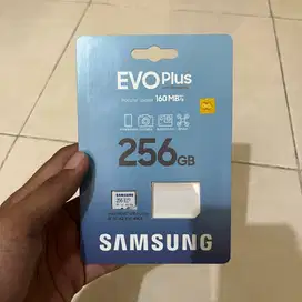 Micro SD 256GB Samsung Evo Plus