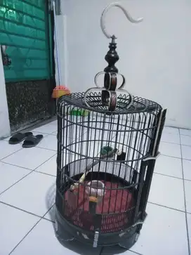 Kandang Ebod anis