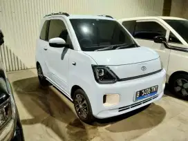 Dfsk seres E type L air ev 2025