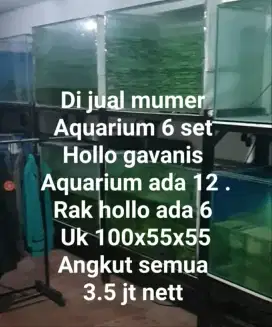 Aquarium uk 100X55X55 . Kaca 10mm + rak hollo gavanis