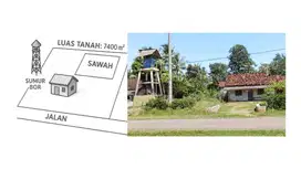 Jual Tanah Murah: Dapat Rumah & Sawah Siap Garap! BISA NEGO