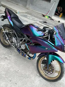 Ninja RR NEW 2013