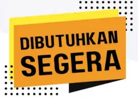 Host live streaming tik tok