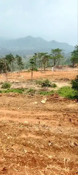 Jual Tanah Ketinggian 500 MDPL Udara Sejuk Bebas Polusi Deket jakarta