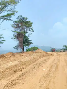 Jual Kavling Zona Kuning Satu-Satunya diPuncak 2 Bogor SHM View Gunung