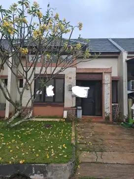 Rumah disewakan di Bali Resort Serpong