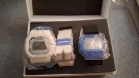 Casio DWE 5600 PR