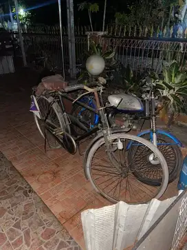 Jual Sepeda Kebo