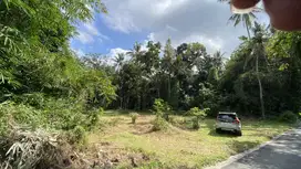 Tanah Sleman Kota Belakang Kantor BPN