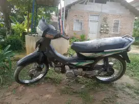 Astrea imperesa