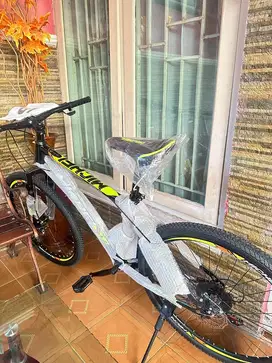 Bike Michel Pro