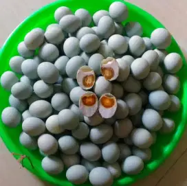 Telur asin OVEN