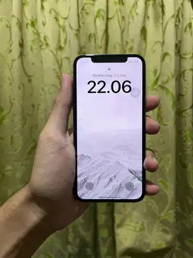 iPhone X 256 gb