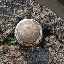 Batu Teratai Serat Kura Natural Fossil Polyp Coral 15.30 ct NTE Skylab
